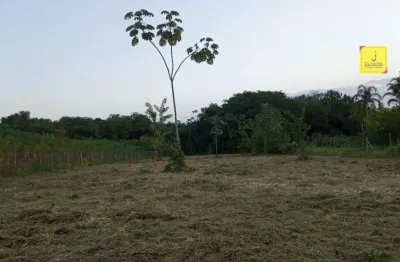Excelente terreno, totalmente plano, com 2.000m², na barra, à apenas 2 km