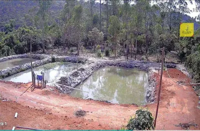 Pesque e pague à venda, com terreno de 6000m² por r$175.000,00 - na estrada de torreões (juiz de fora)/mg.