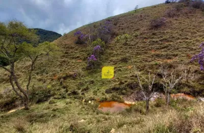 Área à venda, 797000 m² por r$ 2.300.000,00 - filgueiras - juiz de fora/mg