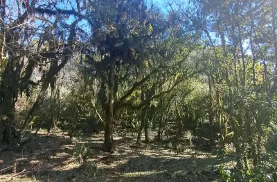 Chácara / sítio à venda na Rua São José, Zona Rural, Cambará do Sul
