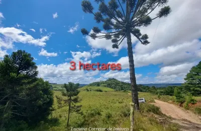 Chácara / sítio à venda na Rua São José, Zona Rural, Cambará do Sul