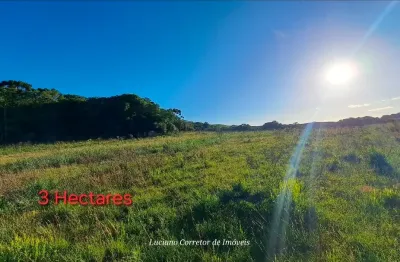 Chácara / sítio à venda na Rua São José, Zona Rural, Cambará do Sul