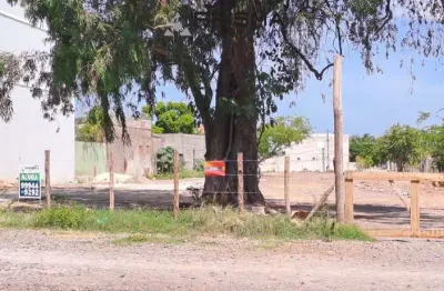 Terreno comercial para alugar na Rua Venâncio Aires, 2269, Centro, Santa Maria