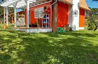 Chácara / sítio com 6 quartos à venda na Rua Principal, Avenquinha, Campo Alegre