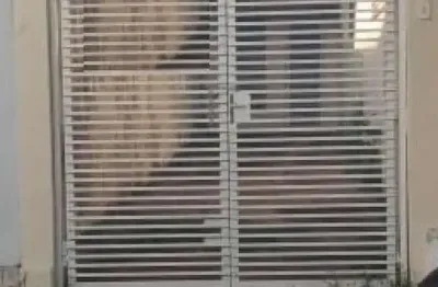Casa com 2 quartos para alugar no Centro, São Carlos 