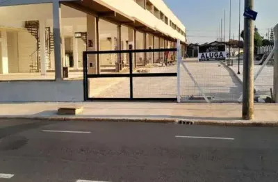 Casa comercial para alugar no Parque Santa Felícia Jardim, São Carlos 