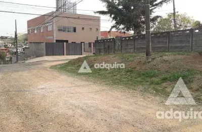 Terreno à venda na Rua Doutor Francisco Fajardo, Olarias, Ponta Grossa