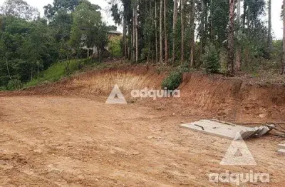 Terreno à venda 2156m², nova rússia, ponta grossa - pr