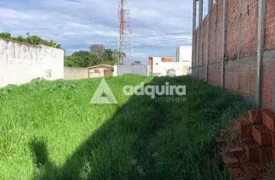 Terreno à venda 480m², boa vista, ponta grossa - pr