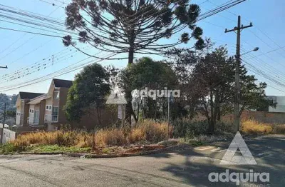 Terreno à venda na Rua Said Ajuz, Estrela, Ponta Grossa