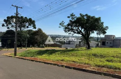 Terreno à venda 495m²,de esquina no jardim américa, ponta grossa - pr