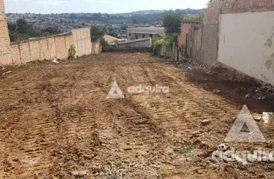 Terreno à venda na Rua Castro Lopes, Ronda, Ponta Grossa