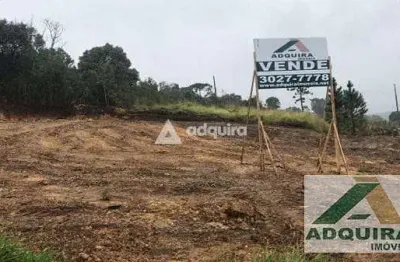 Terreno à venda 564.25m², estrela, ponta grossa - pr