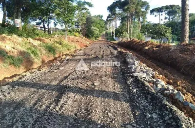 Terreno à venda na Avenida Epitácio Pessoa, Chapada, Ponta Grossa
