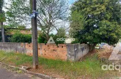 Terreno à venda 1 quarto, 1 vaga, 250m², oficinas, ponta grossa - pr