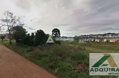 Terreno à venda 3521m², periquitos, ponta grossa - pr