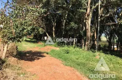 Terreno à venda na Rua Da Servidão Antônio Izael, Centro, Carambeí