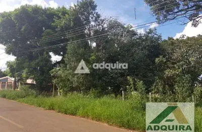Terreno à venda na Rua Viveiros de Castro, Uvaranas, Ponta Grossa