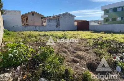 Terreno à venda na Rua João Hyczy, Uvaranas, Ponta Grossa