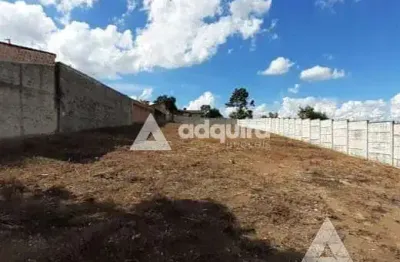 Terreno à venda e locação 1000m², oficinas, ponta grossa - pr
