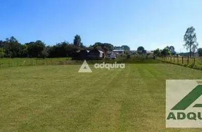 Terreno à venda e locação 2948m², uvaranas, ponta grossa - pr