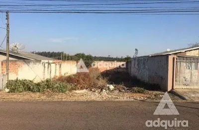 Terreno à venda na Rua Abílio Holzmann, Neves, Ponta Grossa