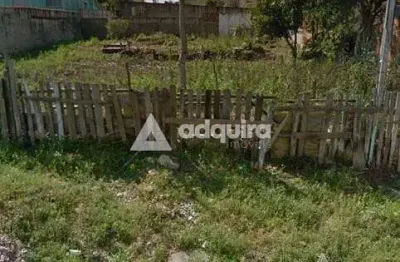 Terreno à venda 375m², nova rússia, ponta grossa - pr