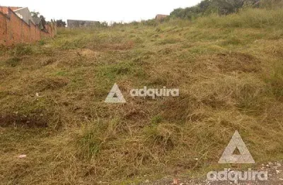 Terreno à venda na Rua Dario Veloso, Uvaranas, Ponta Grossa