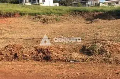 Terreno à venda na Rua Tomio Kawamura, Estrela, Ponta Grossa