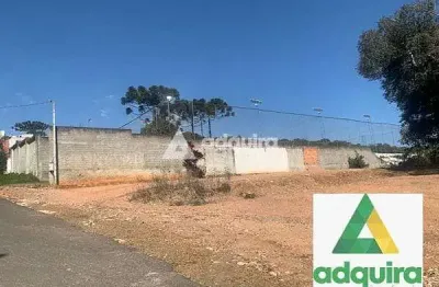 Terreno à venda na Rua João Maurício Faivre, Estrela, Ponta Grossa