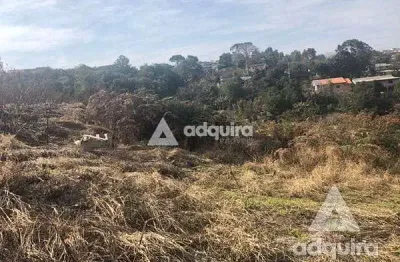 Terreno à venda 348.34m², chapada, ponta grossa - pr