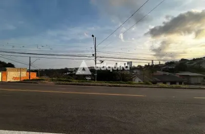Terreno de esquina à venda - vila coronel cláudio - na avenida ana rita, com 462m² de terreno (14m