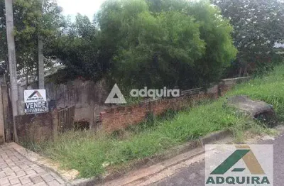 Terreno à venda 1 quarto, 518m², nova rússia, ponta grossa - pr