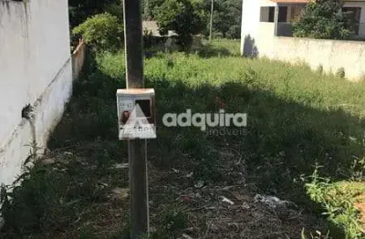 Terreno à venda na Rua Guilherme Natel de Paula Xavier, Jardim Carvalho, Ponta Grossa