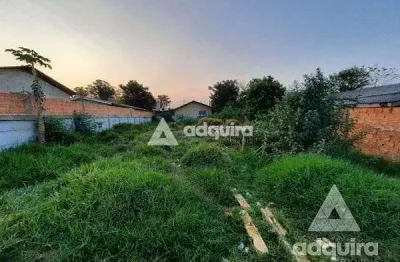 Terreno à venda na Rua Trumais, Uvaranas, Ponta Grossa