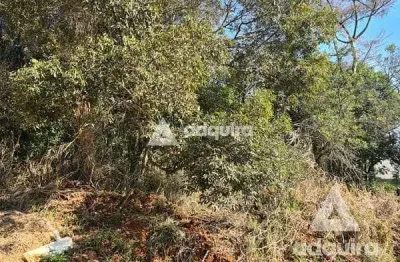 Terreno à venda 424.3m², estrela, ponta grossa - pr
