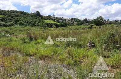 Terreno à venda 515.27m², estrela, ponta grossa - pr