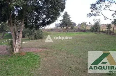 Terreno à venda 12100m², uvaranas, ponta grossa - pr