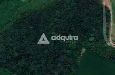 Terreno à venda 76345.22m², colônia dona luíza, ponta grossa - pr