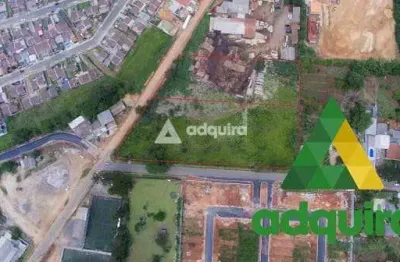 Terreno à venda 14000m², contorno, ponta grossa - pr
