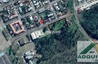 Terreno para locação 4000m², oficinas, ponta grossa - pr