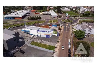 Terreno para locação 150m², oficinas, ponta grossa - pr