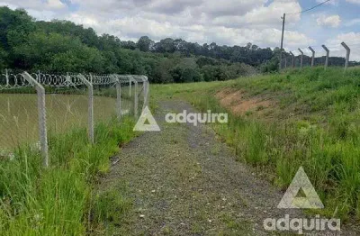 Chácara à venda 6750m², periquitos, ponta grossa - pr