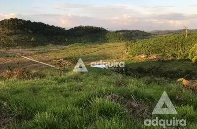 Chácara / sítio com 4 quartos à venda na Rodovia Prefeito Casimiro Teixeira - Km 31.4, Zona Rural, Iguape