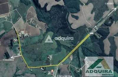 Chácara / sítio à venda na Estrada Da Tainha - Alto Carambeí  - Pr 151 - Km 305, Centro, Carambeí