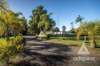 Chácara para locação 24000m², chapada, ponta grossa - pr