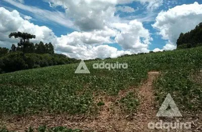 Chácara / sítio à venda na Estrada Laguinho, Centro, Palmeira