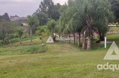 Chácara à venda 12000m², cará-cará, ponta grossa - pr
