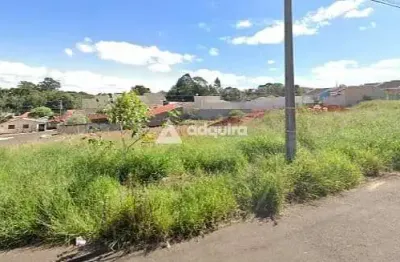 Terreno à venda na Rua Leony Delourdes Alves da Costa, Uvaranas, Ponta Grossa