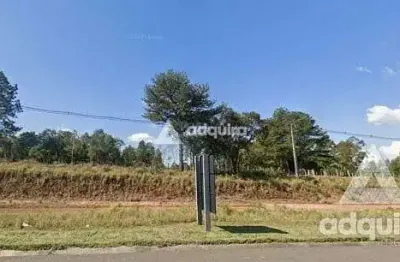 Terreno à venda 14962m², zona rural, ponta grossa - pr